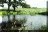 Oberteich