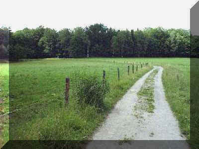 Klick f&uuml;r Bild ohne Navigation
