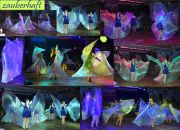   Seniorenfasching5